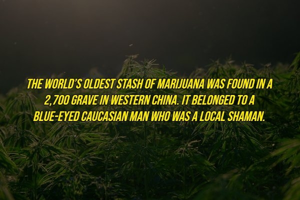 interestingfacts16_013