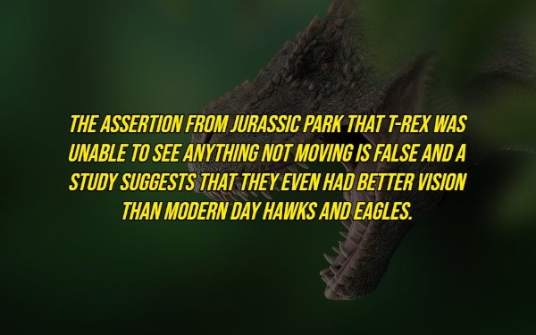 interestingfacts16_016