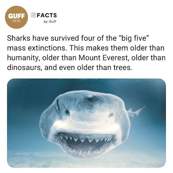 interestingfacts17_001