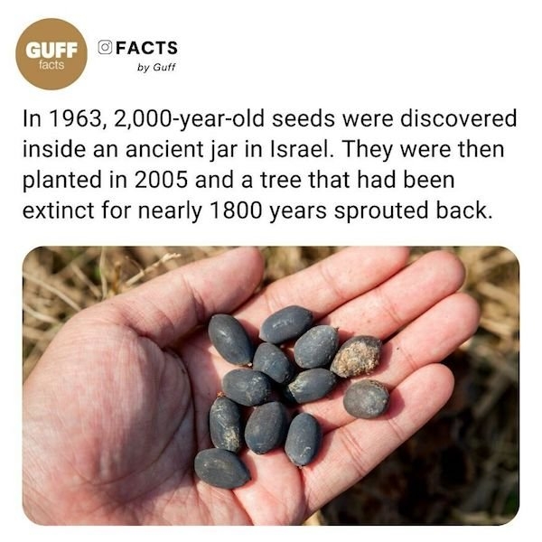 interestingfacts17_004