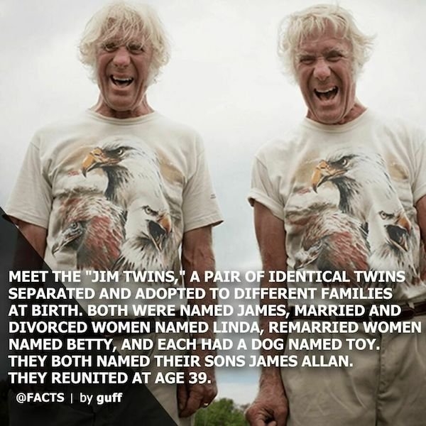 interestingfacts17_024