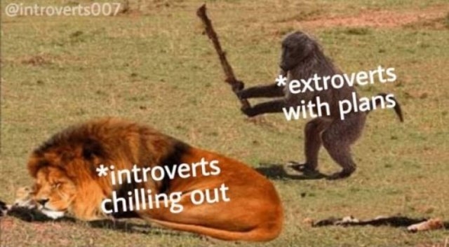 introvertmemes2_023