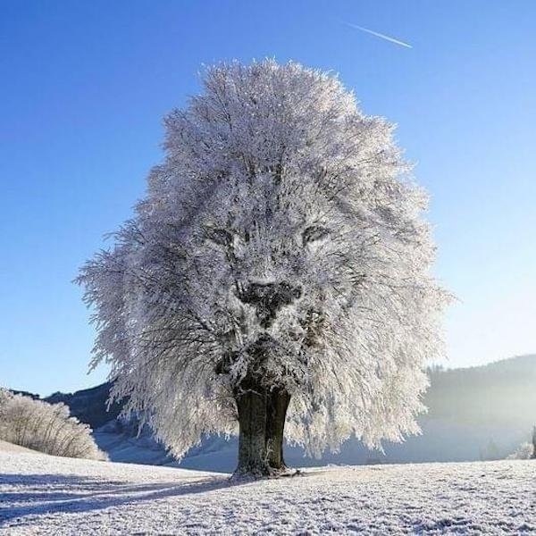 photoshopmagic3_003