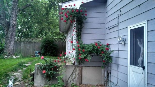 randompics499_052