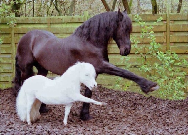 randompics505_066