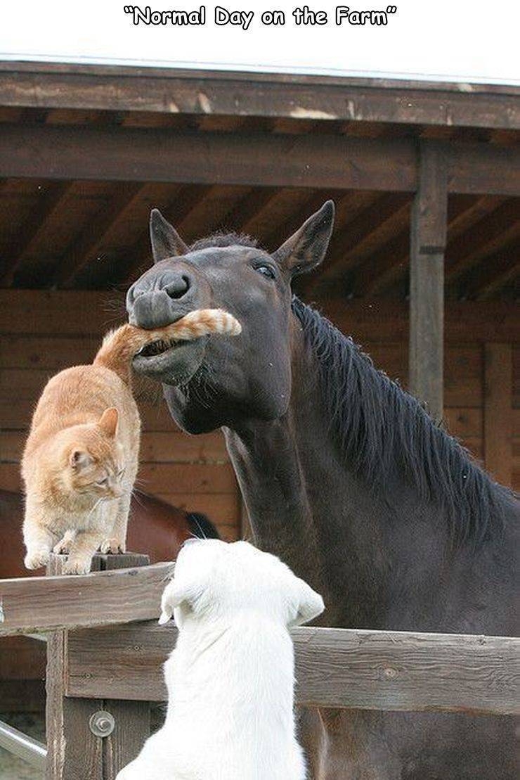 randompics513_075