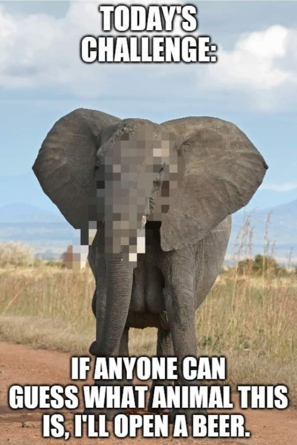 randompics514_079