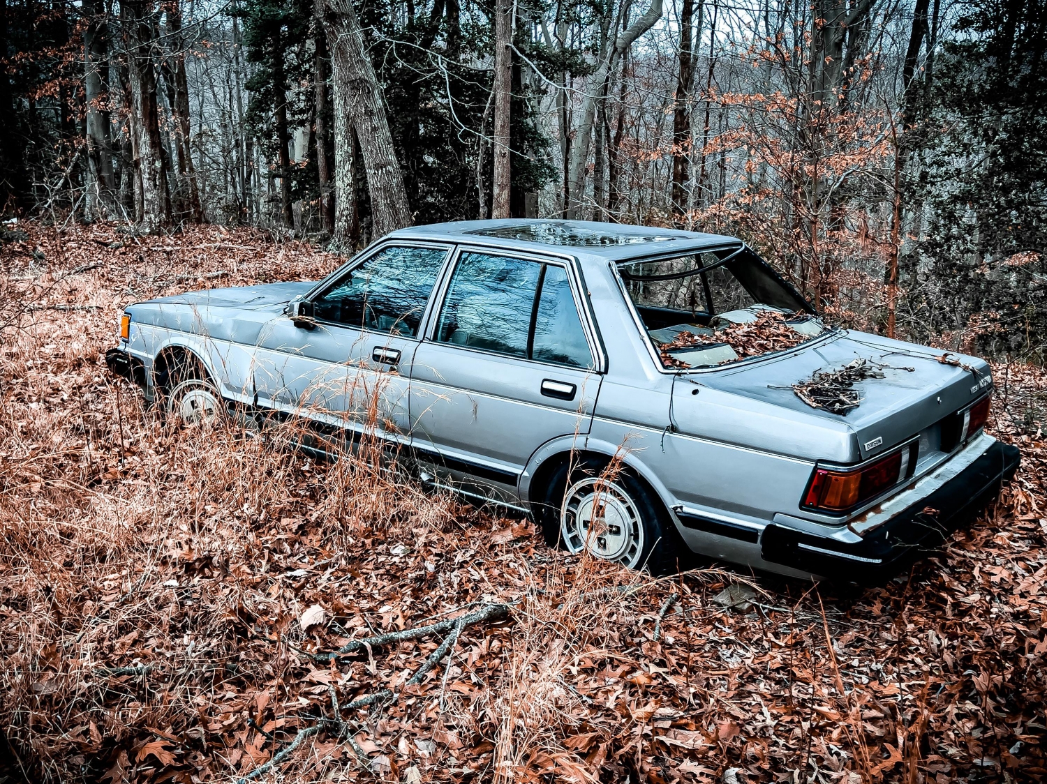 abandonedplaces6_014