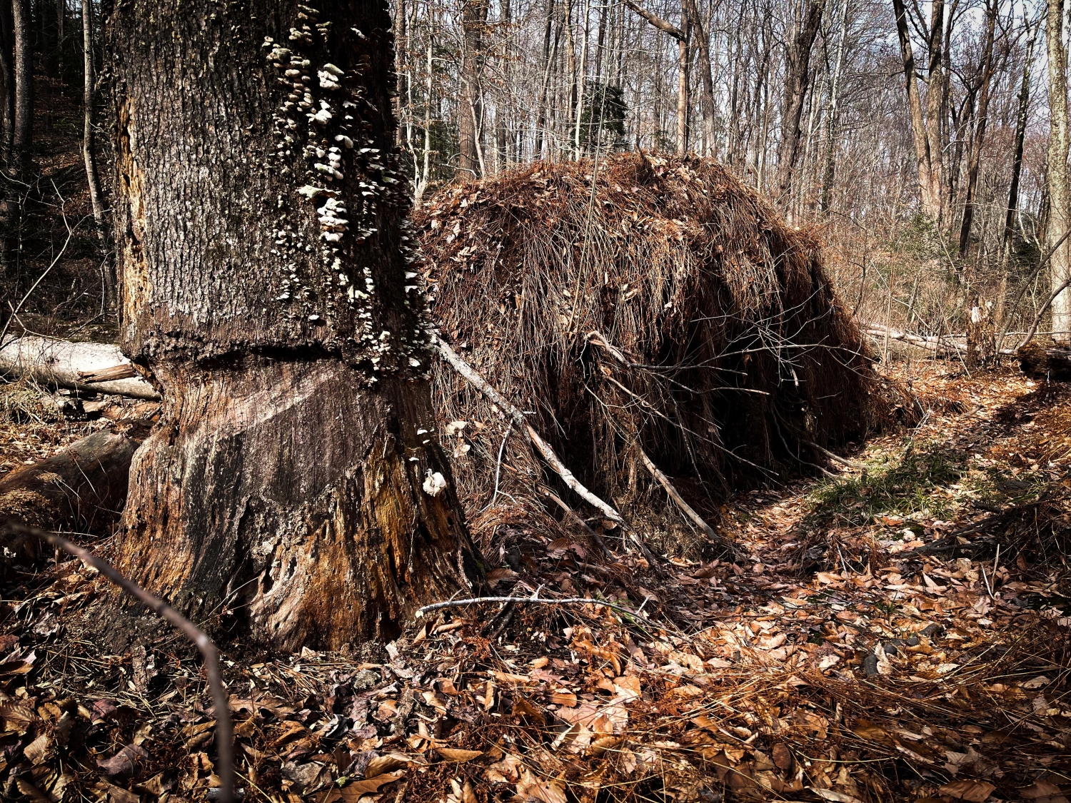 abandonedplaces6_032