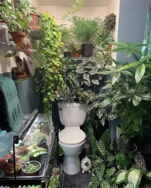 bathrooms_018