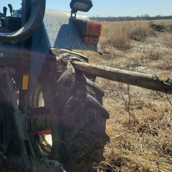 carmechanicswtf2_008