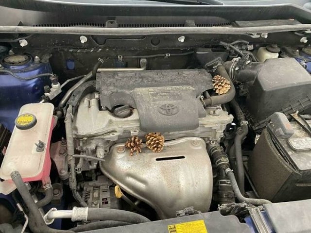 carmechanicswtf2_023