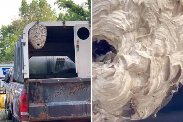 carmechanicswtf2_029