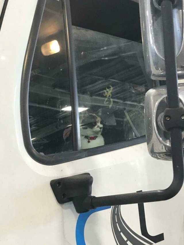 carmechanicswtf2_034