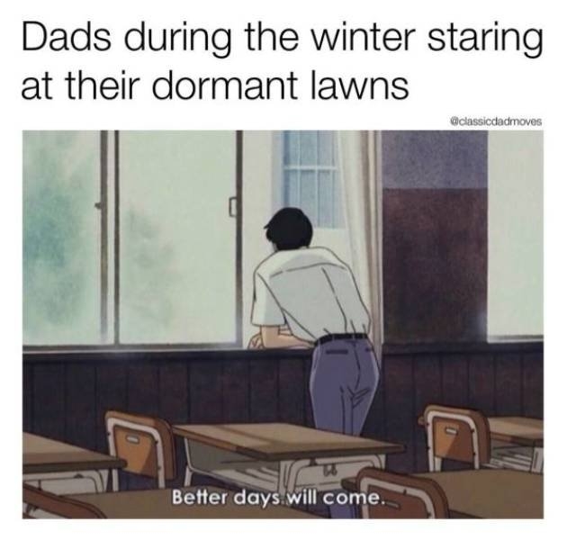 dadmemes4_019