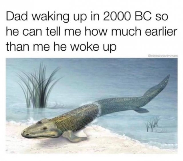 dadmemes4_027