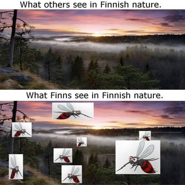 finland_035 finland_035