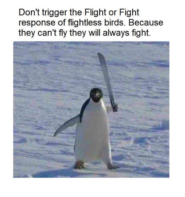 funnymemes77_003