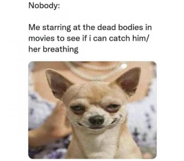 funnymemes77_009