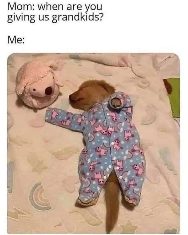 funnymemes77_011