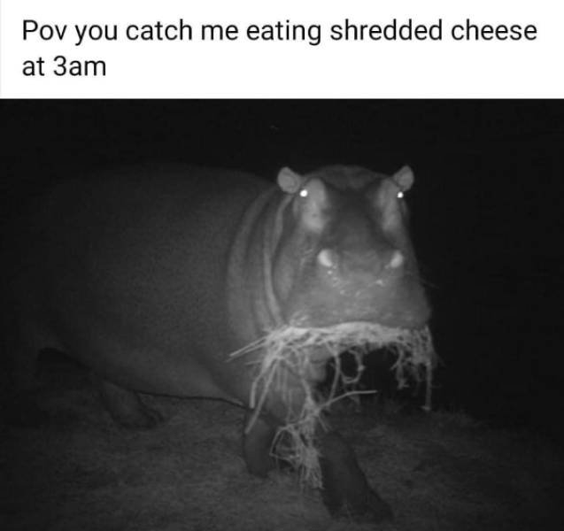 funnymemes77_020
