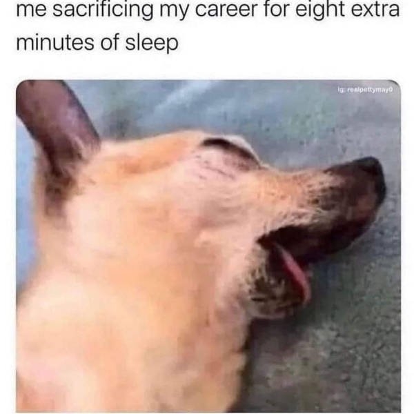 funnymemes77_036