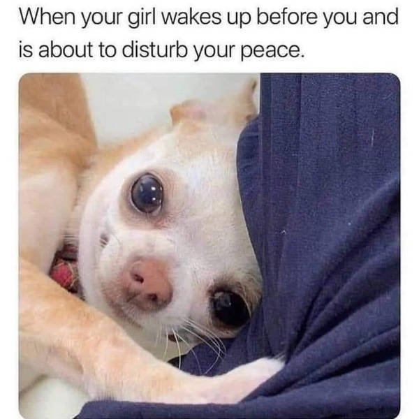 funnymemes77_040