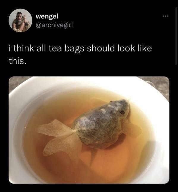 funnymemes77_045