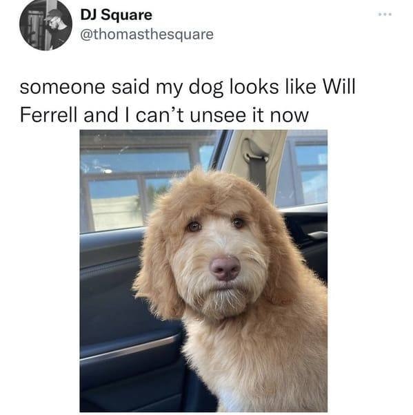 funnymemes77_050