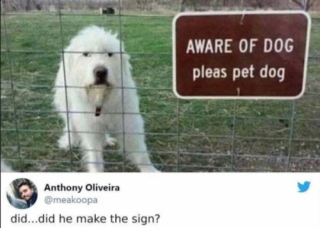 funnysigns_027
