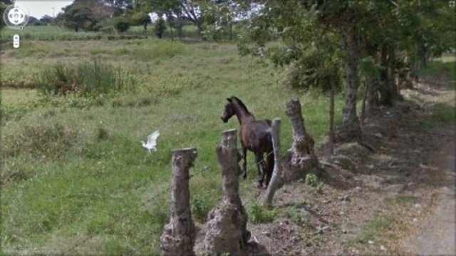 googlemaps_035