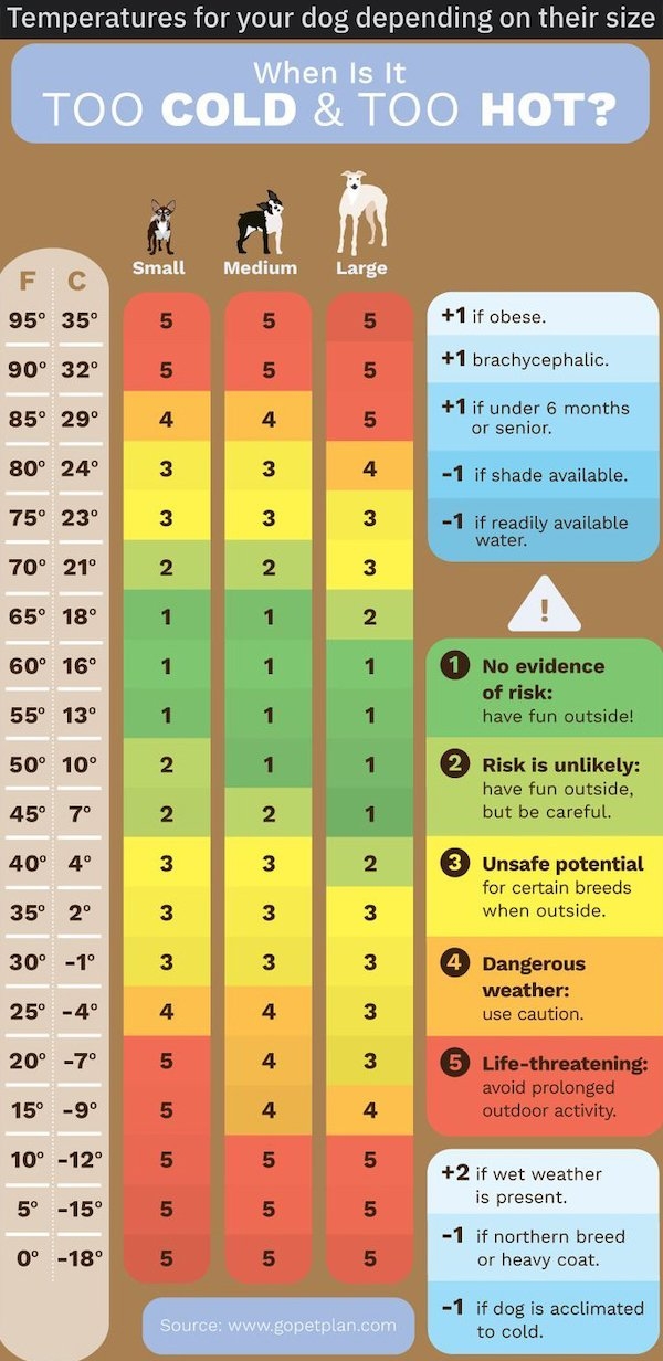 interestingdata16_010
