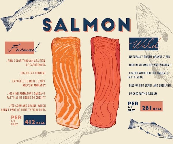 interestingdata17_009