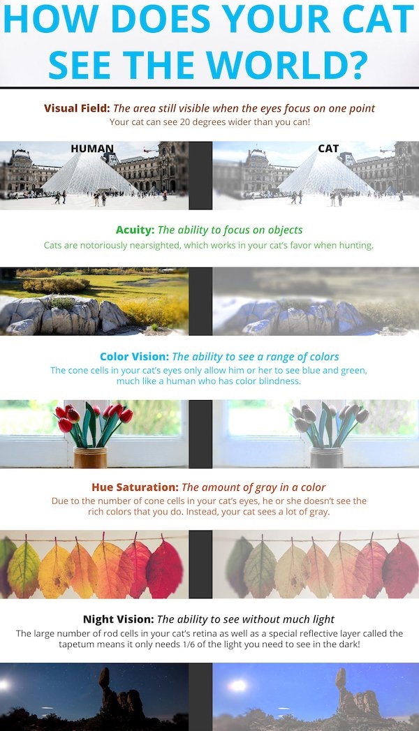 interestingdata17_013