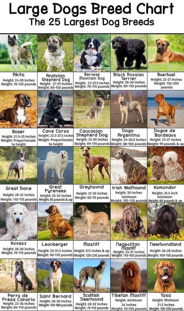 interestingdata17_016