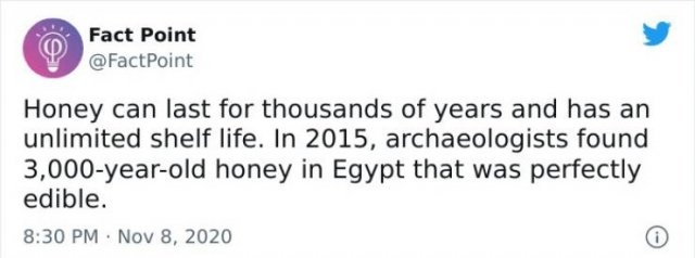 interestingfacts18_005