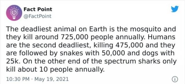 interestingfacts18_008