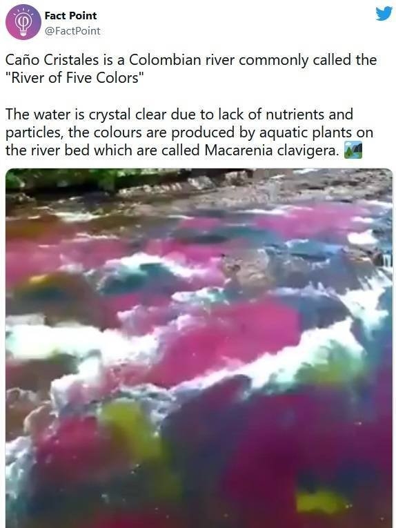 interestingfacts18_009