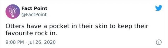 interestingfacts18_011