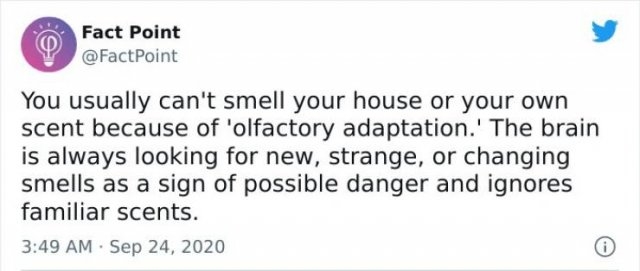 interestingfacts18_013