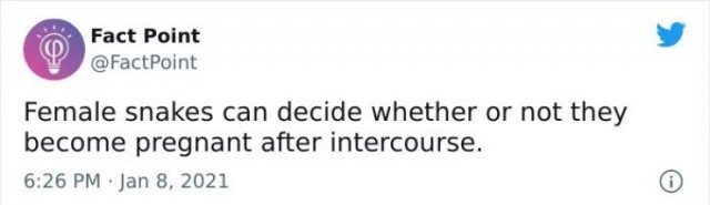 interestingfacts18_017