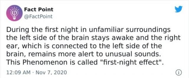 interestingfacts18_022