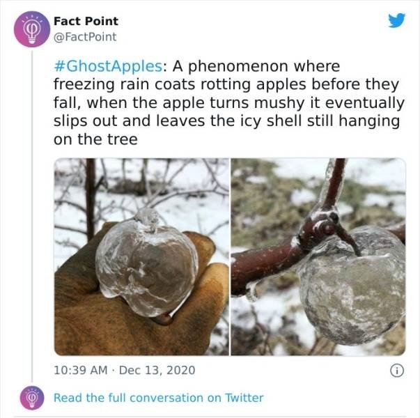 interestingfacts18_024