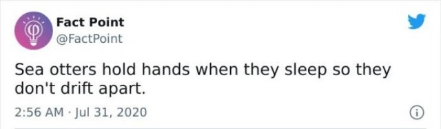 interestingfacts18_025