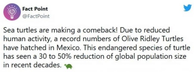 interestingfacts18_026