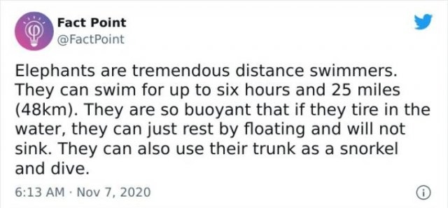 interestingfacts18_027