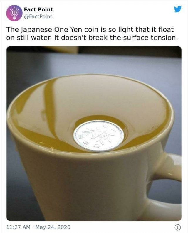 interestingfacts18_029