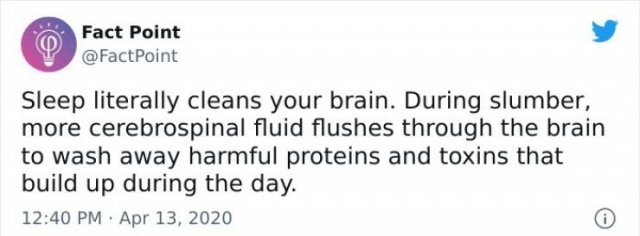 interestingfacts18_030