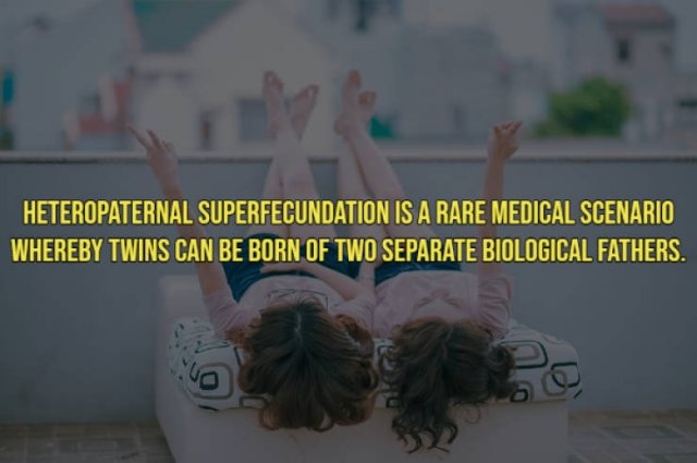 interestingfacts19_006