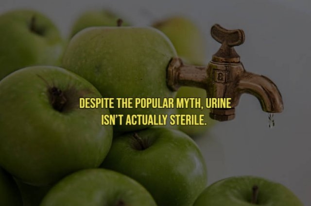 interestingfacts19_009